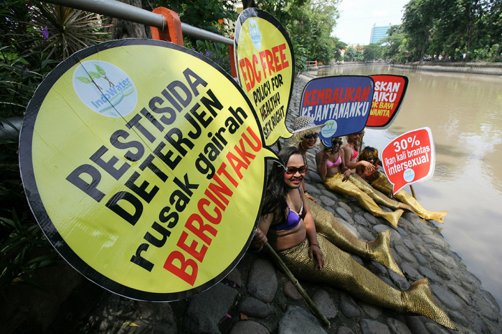Sejumlah aktivis berpakaian ala putri duyung menggelar aksi peduli sungai di pinggir sungai Kalimas, Surabaya, Jawa Timur.