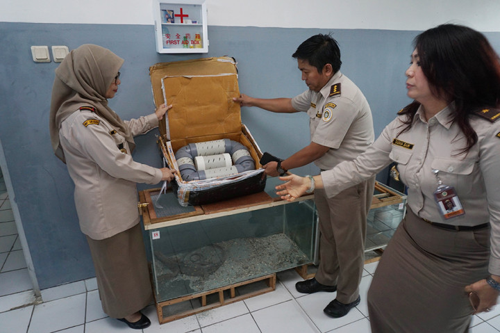 Upaya penyelundupan berhasil digagalkan setelah petugas memeriksa paket yang dilaporkan berupa makanan. Namun, saat dibuka paket tersebut berisi sejumlah satwa yang dimasukkan ke dalam paralon.