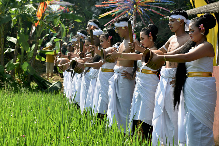 Peserta kirab menuangkan air ke sawah saat prosesi Gelar Budaya Nyadran Kali.