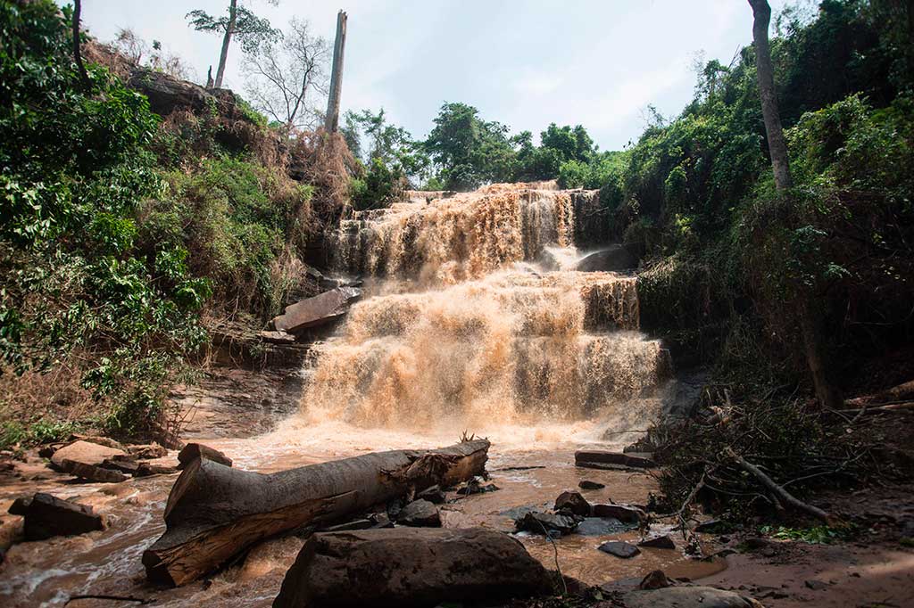 Peristiwa tragis terjadi setelah badai menumbangkan pohon dan jatuh menimpa puluhan siswa SMA yang tengah berenang di air terjun Kintampo. Sebanyak 18 siswa tewas di lokasi kejadian, sementara dua lainnya di rumah sakit.
