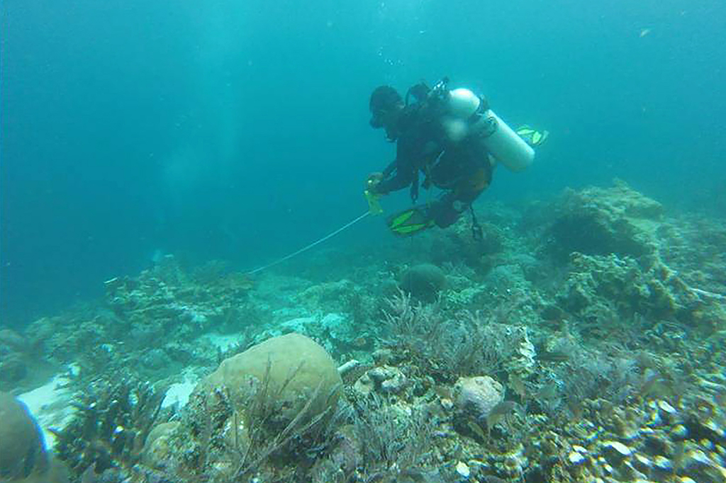 Tim survei nasional dan tim survei asuransi kapal sepakat bahwa luas terumbu karang yang rusak di Raja Ampat mencapai 18.882 meter persegi. Kesepakatan tersebut berdasarkan survei bersama sejak 19 Maret lalu.