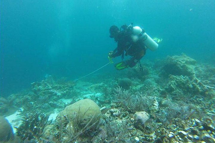 Tim survei nasional dan tim survei asuransi kapal sepakat bahwa luas terumbu karang yang rusak di Raja Ampat mencapai 18.882 meter persegi. Kesepakatan tersebut berdasarkan survei bersama sejak 19 Maret lalu.