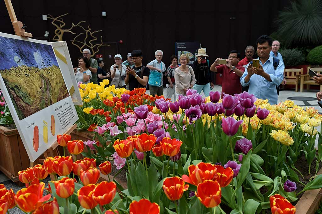 Para pengunjung mengabadikan berbagai macam bunga tulip yang dipajang pada pameran Tulipmania Floral Display di Garden by the Bay, Singapura, Rabu (5/4/2017).