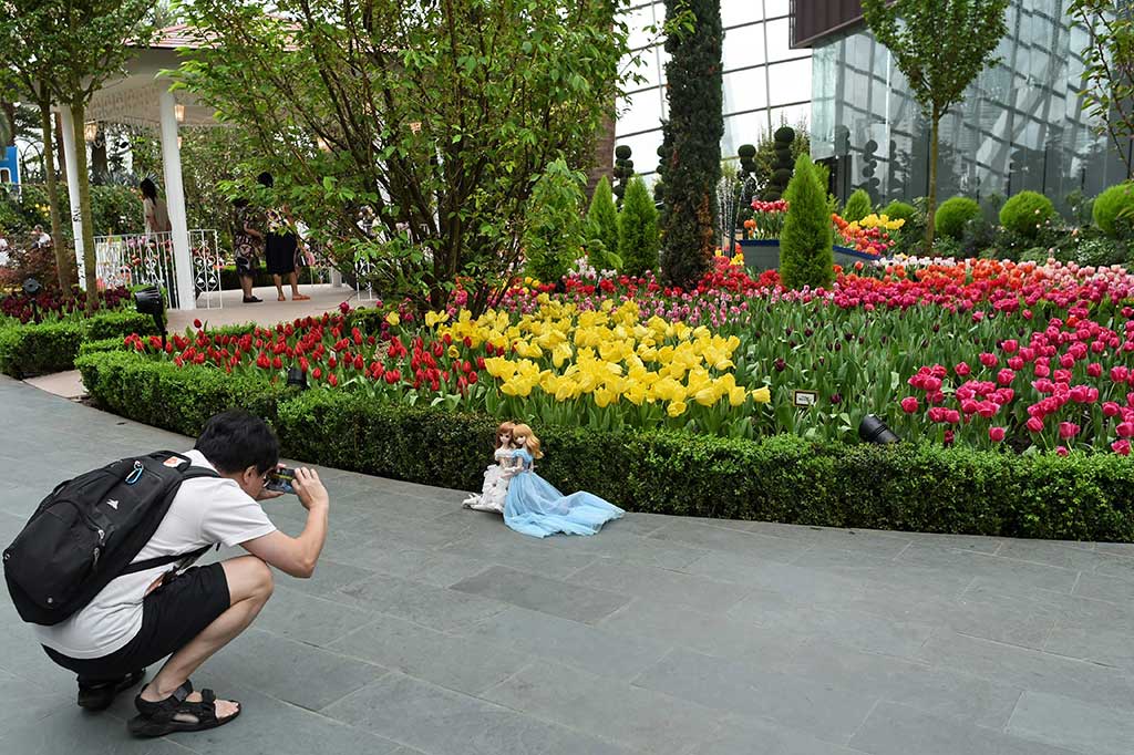 Seorang pengunjung mengambil gambar boneka dengan latar belakang bunga tulip.