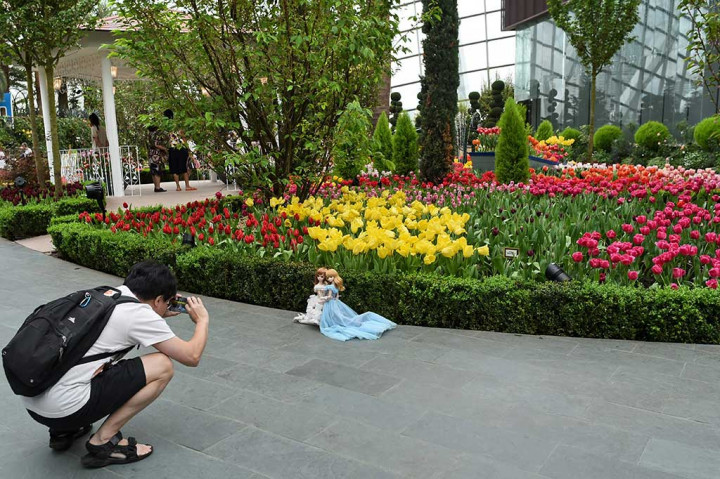 Seorang pengunjung mengambil gambar boneka dengan latar belakang bunga tulip.