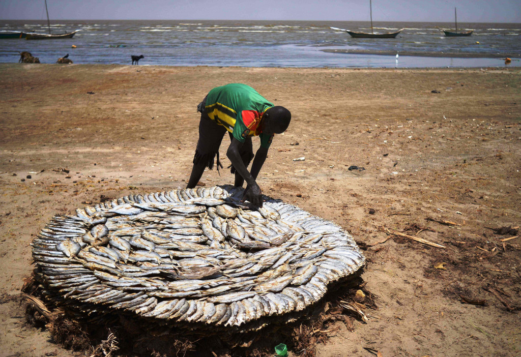 Hasil tangkapan nelayan di dua wilayah sangat terdampak surutnya Danau Turkana. Hasil tangkapan yang terus menerus berkurang membuat nelayan yang tinggal di perbatasan dua negara berebut ikan.