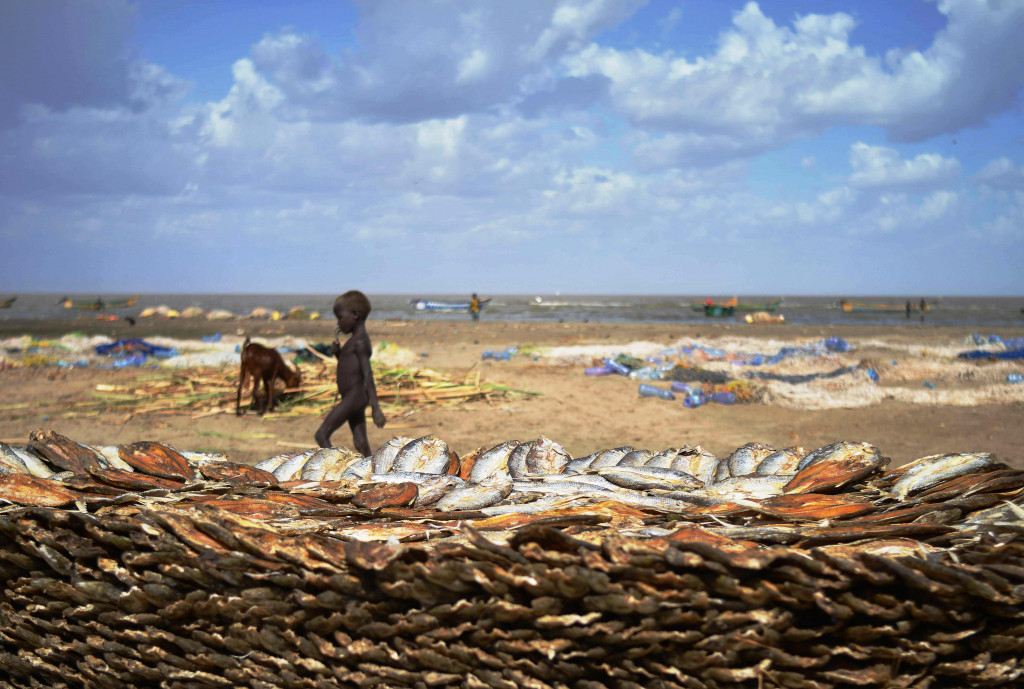 Seorang anak berjalan di antara tumpukan ikan yang sedang dijemur di Lowarengak, Kenya. Warga hanya mengolah hasil sebagai ikan kering agar bisa bertahan lama. 