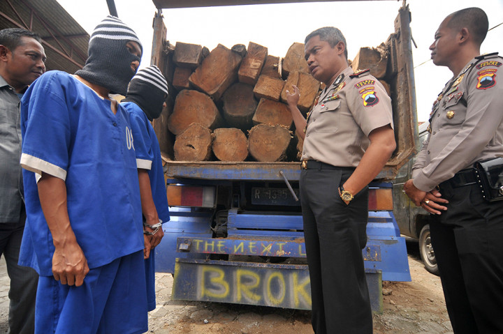 Kapolres Tegal, AKBP Heru Sutopo (dua kanan) memeriksa dua tersangka beserta barang bukti kayu jati ilegal saat gelar kasus di Polres Tegal, Jawa Tengah.