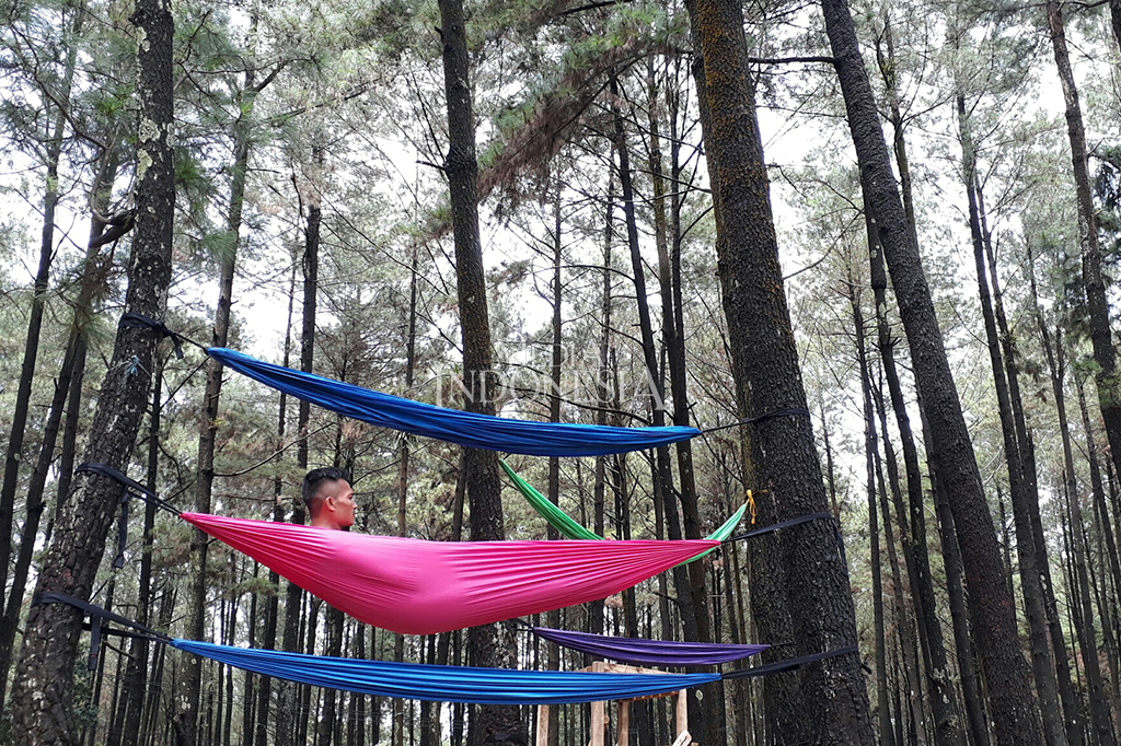Tak hanya itu, Gunung Pancar merupakan tempat yang cocok untuk melakukan kegiatan seperti berkemah, bersepeda, serta mendaki.