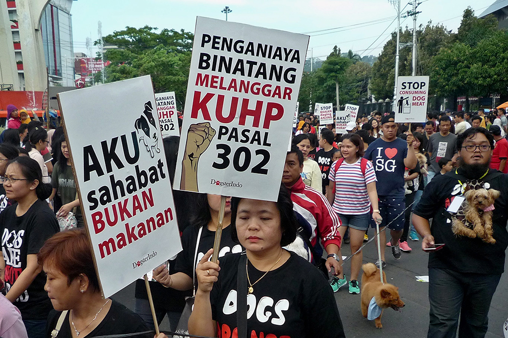 Aktivis Suarakan Stop Konsumsi Daging Anjing