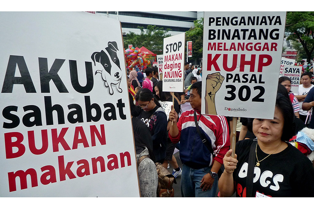 Aktivis Suarakan Stop Konsumsi Daging Anjing
