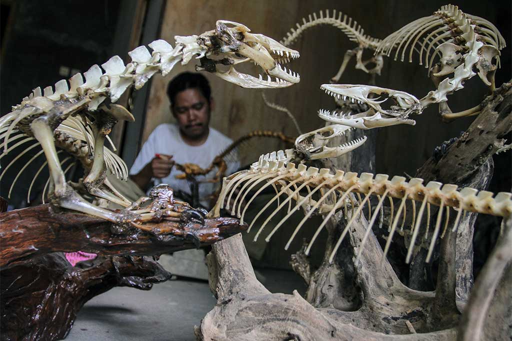 Kerajinan dari Tulang Biawak Ini Laku Hingga Rp1 Juta
