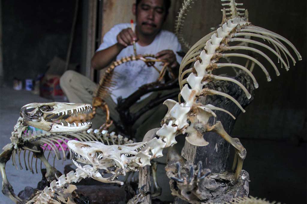 Kerajinan dari Tulang Biawak Ini Laku Hingga Rp1 Juta