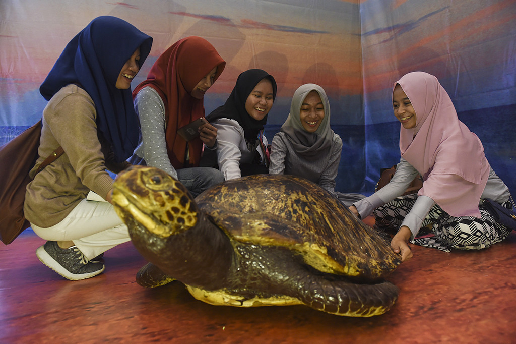 Pengunjung mengamati penyu yang dipajang di stan Taman Nasional Meru Betiri saat perhelatan Majapahit Travel Fair (MTF).