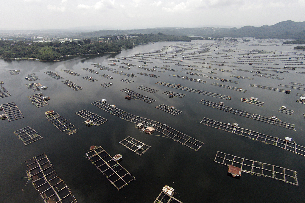 Selama tahun 2017 sendiri Satgas ODJB Purwakarta menargetkan sebanyak 15 ribu KJA dapat dibersihkan dari perairan Waduk Jatiluhur.