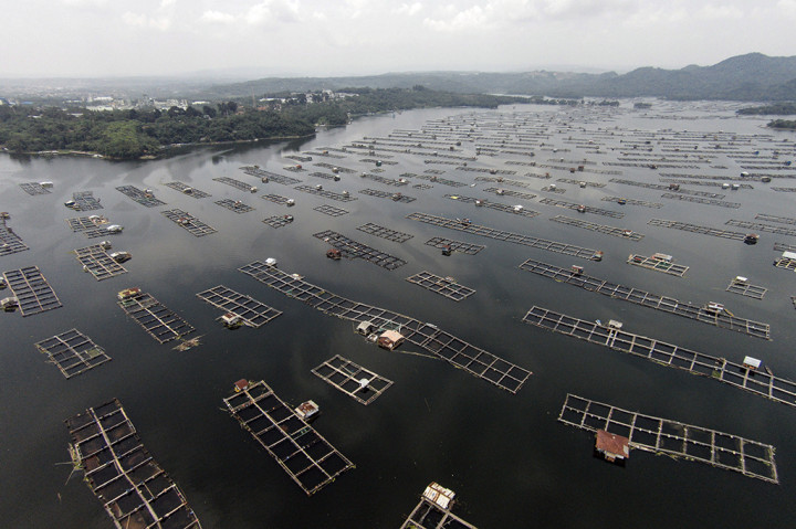Selama tahun 2017 sendiri Satgas ODJB Purwakarta menargetkan sebanyak 15 ribu KJA dapat dibersihkan dari perairan Waduk Jatiluhur.