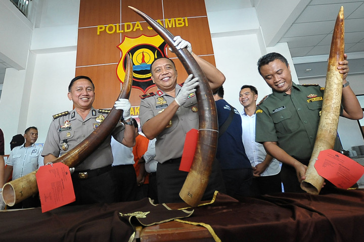 Barang bukti yang diamankan dari ketiga pelaku ada satu buah gading gajah ukuran panjang 105 cm dengan berat delapan kilogram, gading ukuran panjang 123 cm dengan berat 8,6 kilogram dan gading gajah panjang 127 cm dengan berat 9,2 kilogram, satu unit mobil dan satu lembar dokumen kendaraan. Satu gading gajah dibanderol dengan harga Rp250 juta.