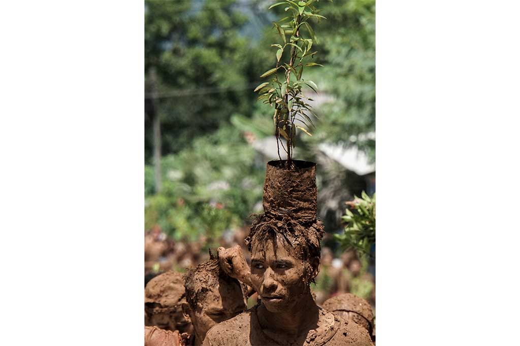 Warga membawa tanaman pucuk merah untuk ditanam seusai mengikuti mandi lumpur massal.