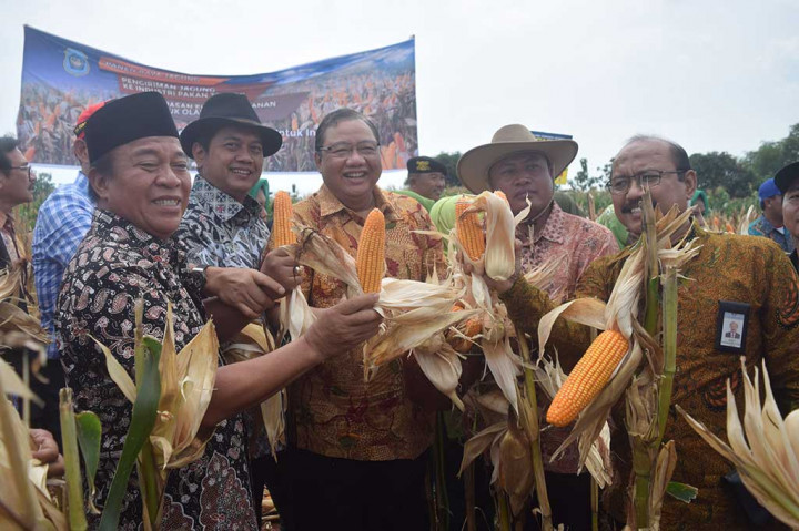 Menkop dan UKM mengapresiasi apa yang dilakukan Pemkab Lamongan dalam pengembangan kawasan pertanian jagung modern serta membuatnya menjadi bahan olahan yang siap untuk diekspor.