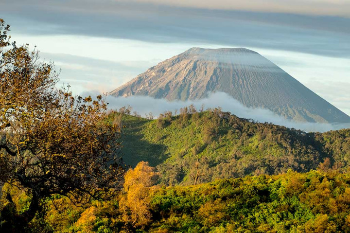 Indahnya Destinasi Wisata Puncak B-29 Lumajang