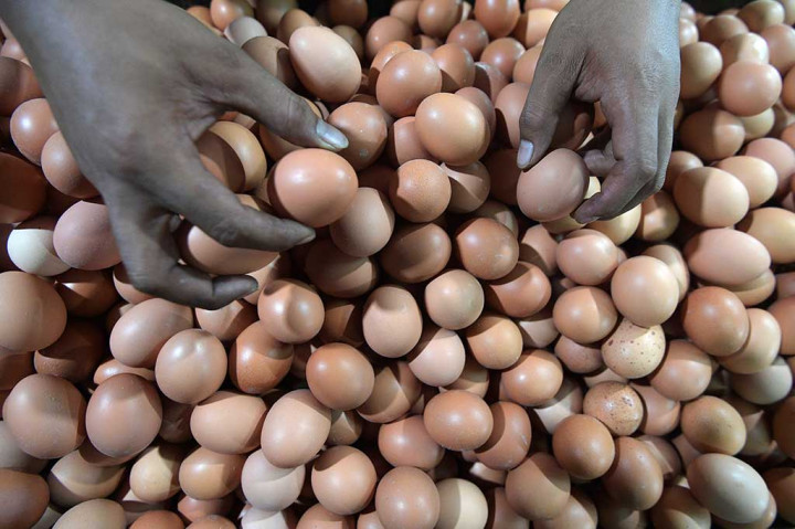 Sementara itu telur ayam Rp21.250 per kg, daging ayam di harga Rp 33.071 per kg. 