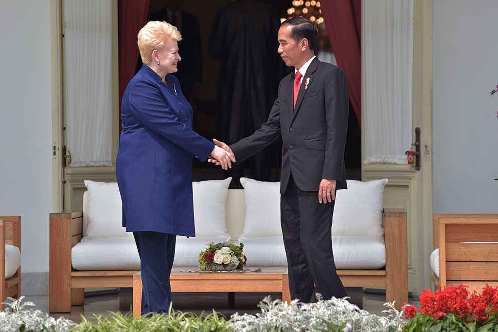 Setelah mengikuti upacara penyambutan, Jokowi mengajak Presiden Dalia memasuki Istana Merdeka. Usai mengisi buku tamu, Presiden Dalia dan Jokowi langsung menuju beranda belakang Istana Merdeka untuk melakukan pembicaraan empat mata (veranda talk).