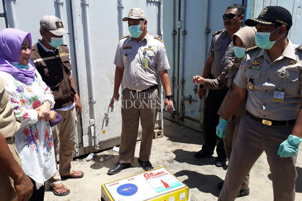 15 Ton Daging Beku Tiba di Tarakan