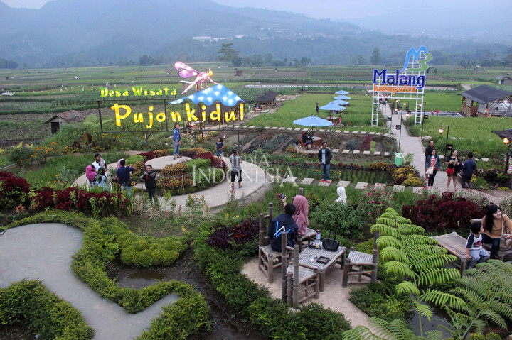 Sensasi Unik Makan di Tengah Sawah