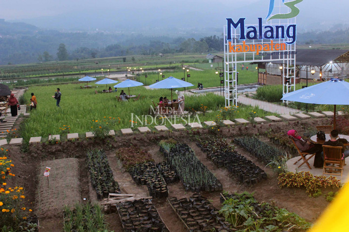 Sensasi Unik Makan di Tengah Sawah