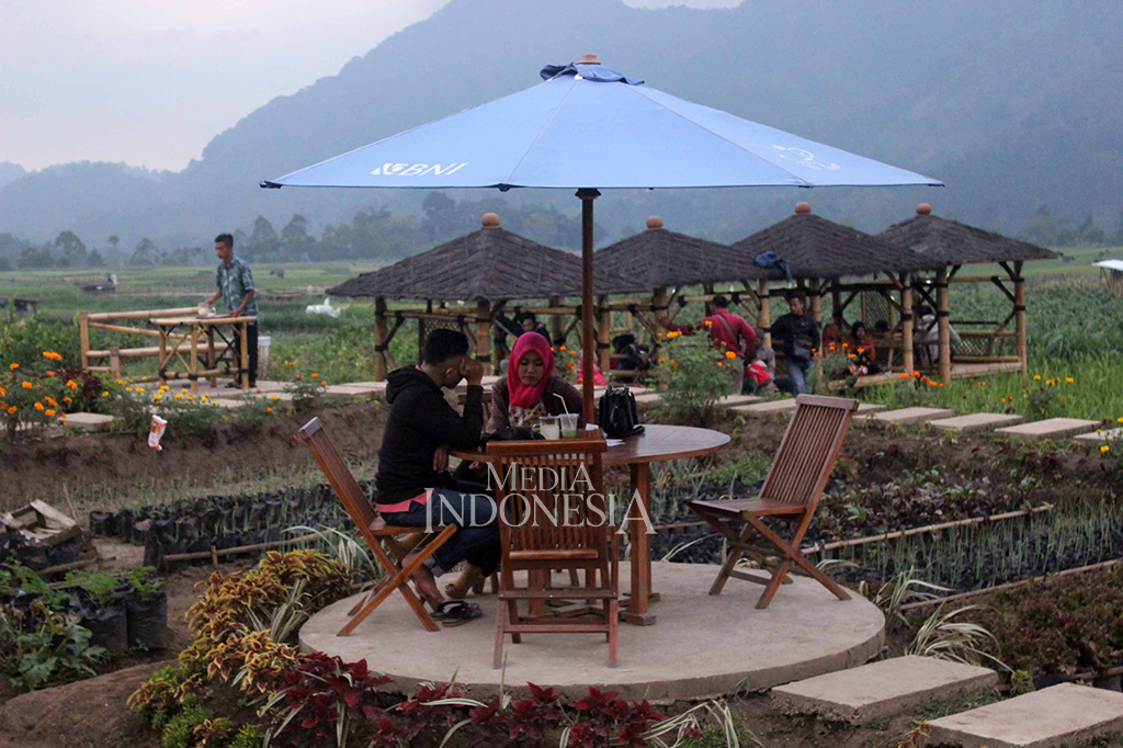 Sensasi Unik Makan di Tengah Sawah