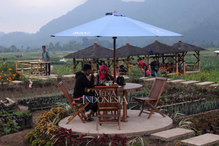 Sensasi Unik Makan di Tengah Sawah