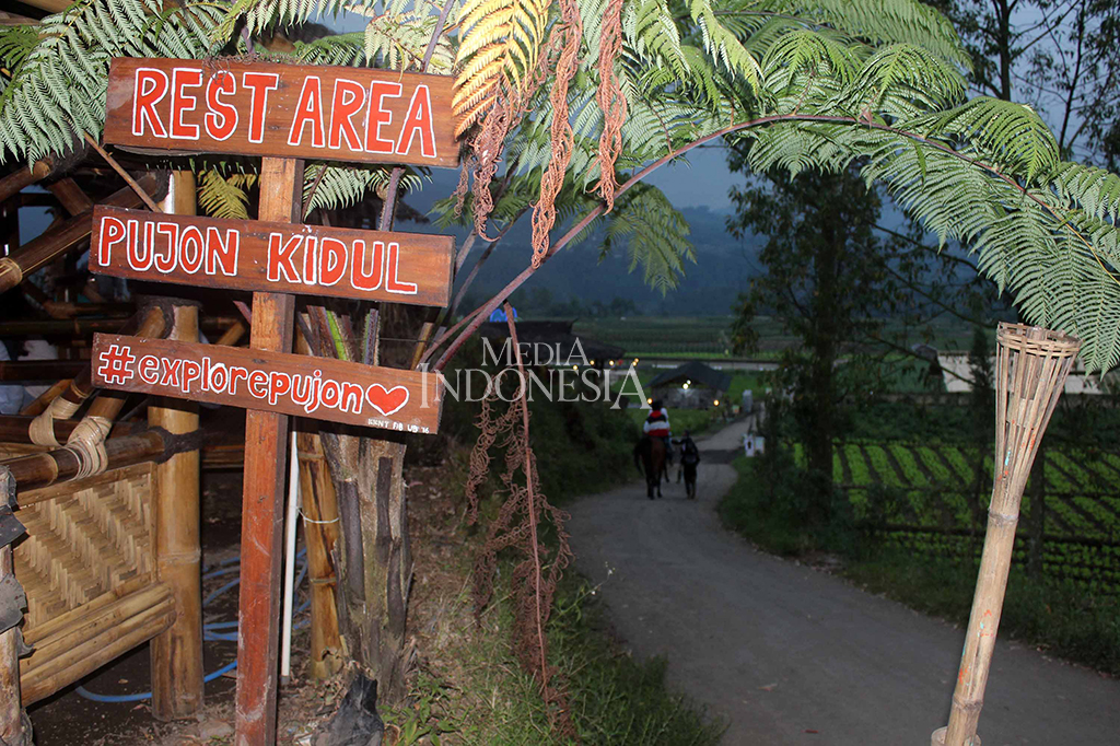 Sensasi Unik Makan di Tengah Sawah