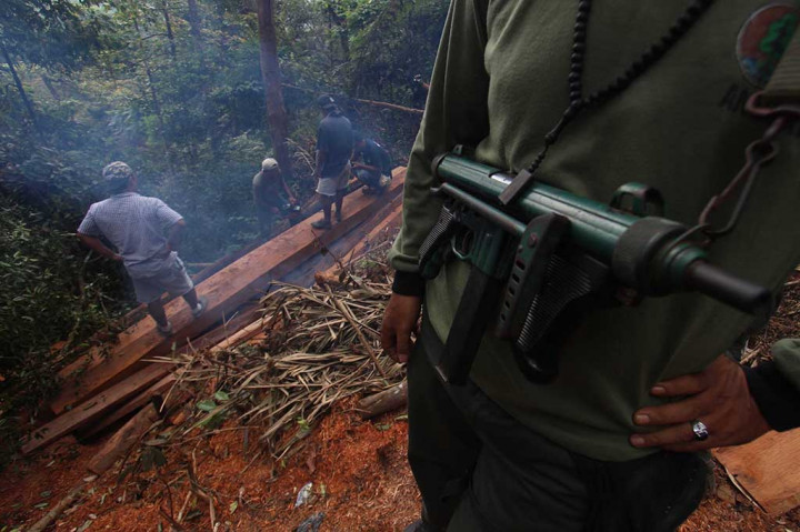 Pembalakan Liar di TN Gunung Leuser