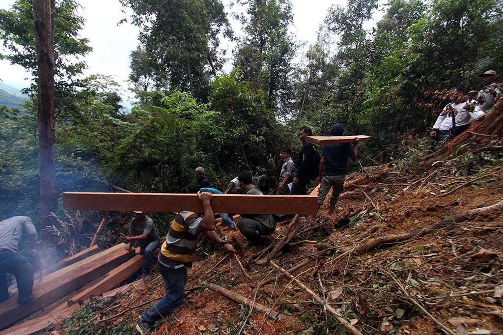 Pembalakan Liar di TN Gunung Leuser