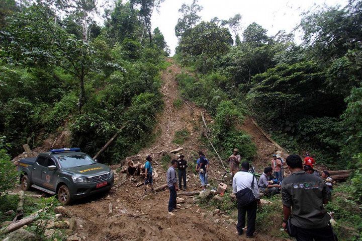 Pembalakan Liar di TN Gunung Leuser