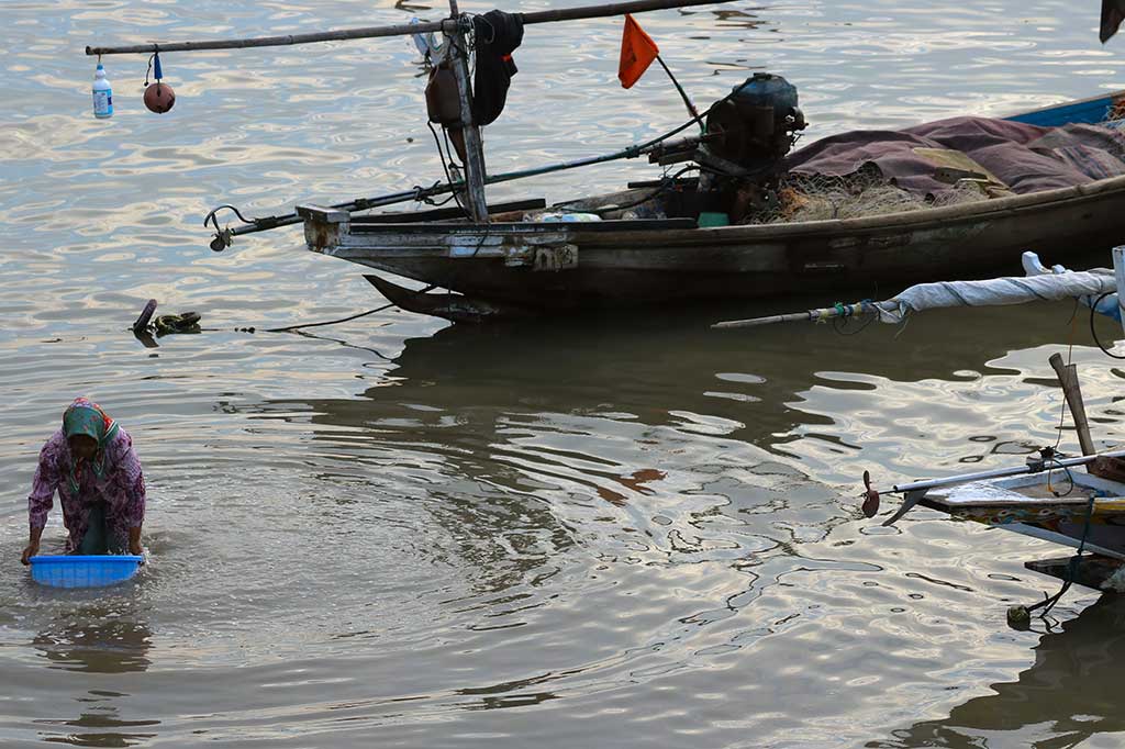 Warga mencuci udang rebon di Pantai Kenjeran, Surabaya, Jatim.