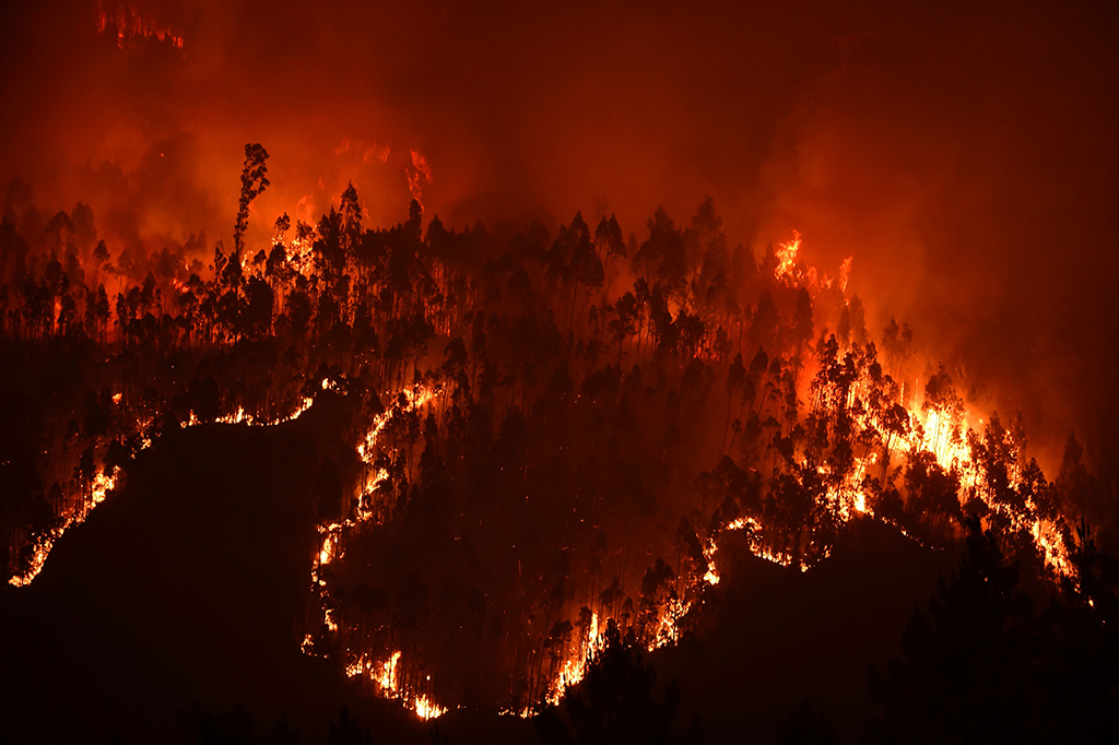 Kebakaran hutan terjadi di daerah Pedrógão Grande, Portugal. 62 orang tewas dalam insiden ini.