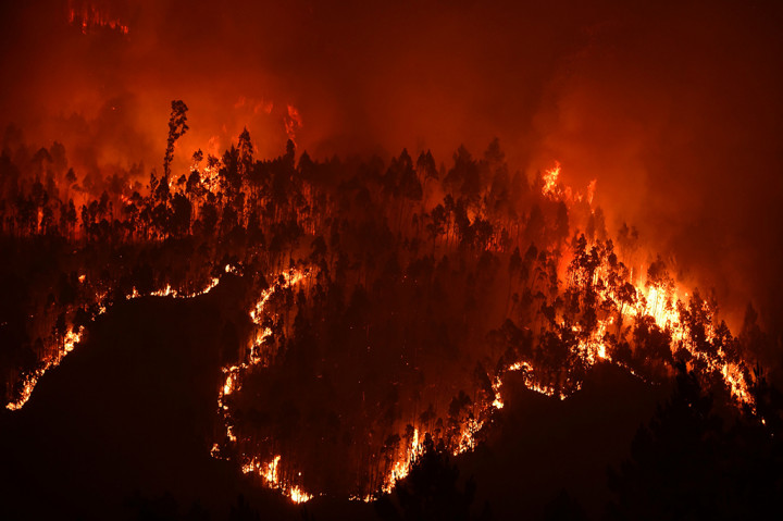 Kebakaran hutan terjadi di daerah Pedrógão Grande, Portugal. 62 orang tewas dalam insiden ini.
