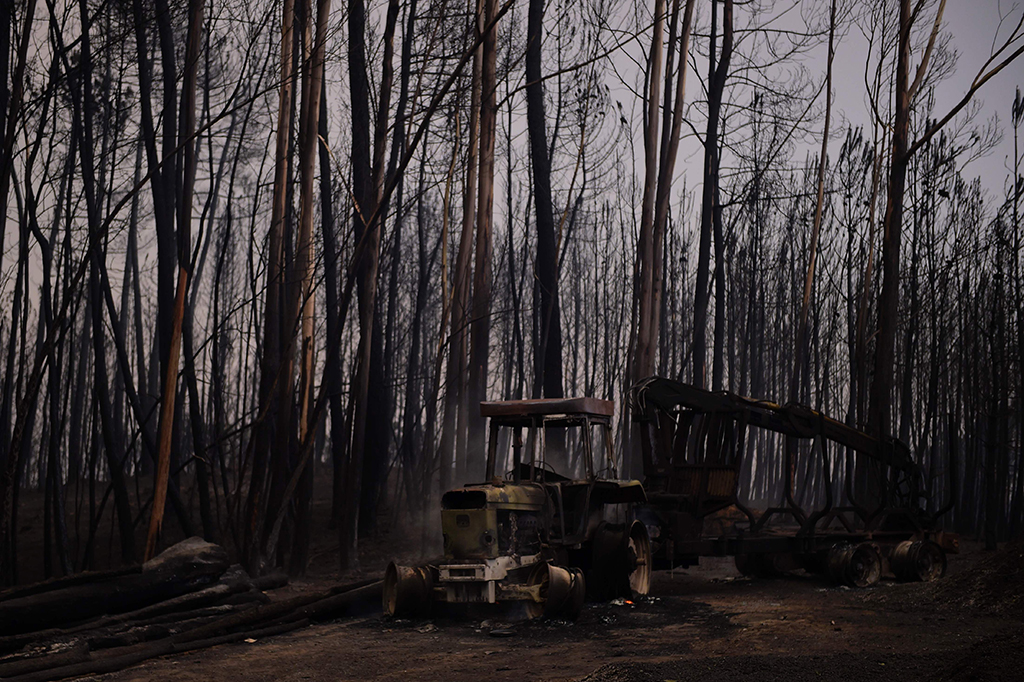 PM Costa mengatakan kemungkinan disebabkan oleh sambaran petir dan pada satu saat terdapat sekitar 156 area kebakaran.
