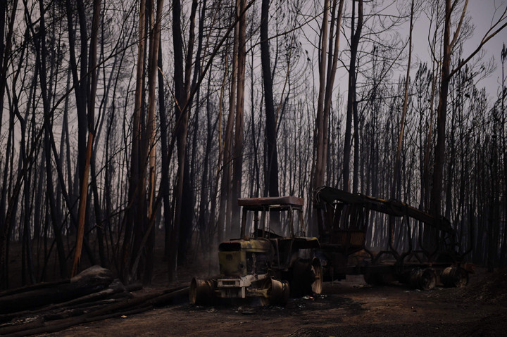 PM Costa mengatakan kemungkinan disebabkan oleh sambaran petir dan pada satu saat terdapat sekitar 156 area kebakaran.

