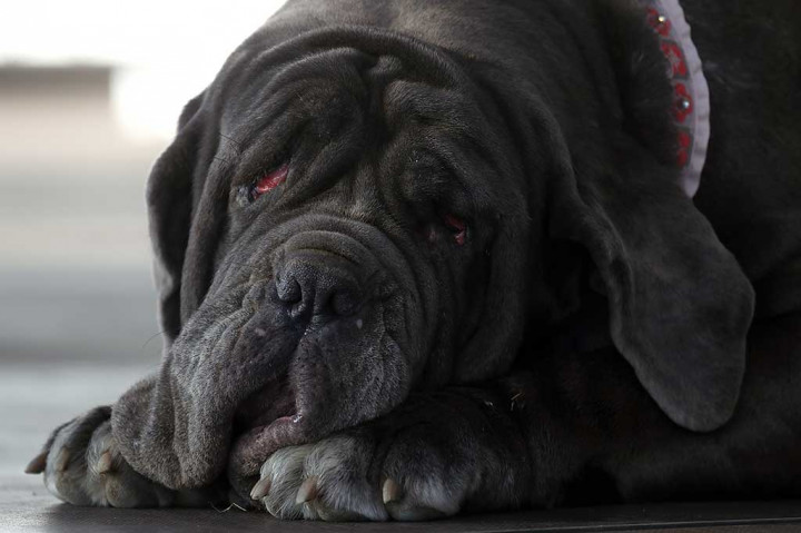 Martha sebelumnya diselamatkan oleh Zindler dalam keadaan terlantar dan nyaris buta. Setelah beberapa kali menjalani operasi Martha perlahan bisa melihat lagi.