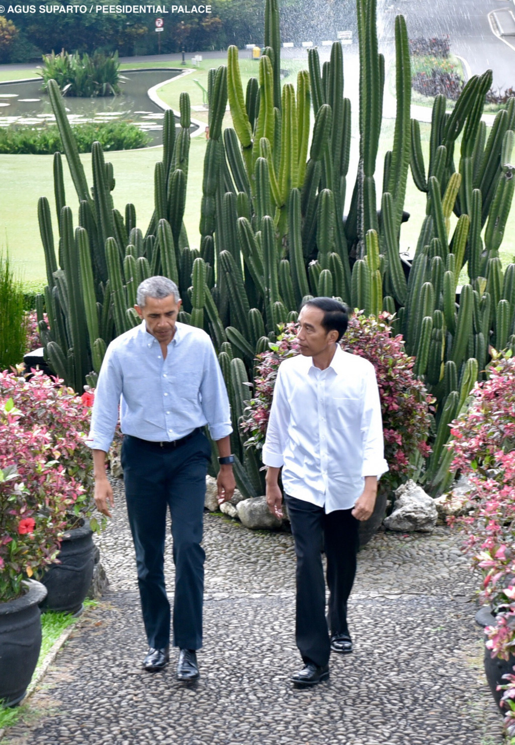 Obama dan jokowi menaiki tangga menuju cafe di Kebun Raya Bogor yang dipilih sebagai tempat pembicaraan empat mata. Setpres RI/Agus Suparto
