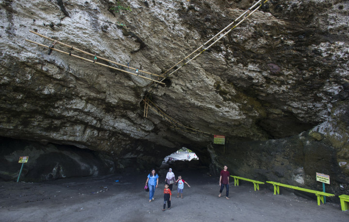 Di dalam badan bukit karang yang menaungi lorong Karangbolong terdapat gua sarang burung walet. Batang bambu yang diikat di langit-langit adalah akses jalan bagi warga pencari sarang burung walet.