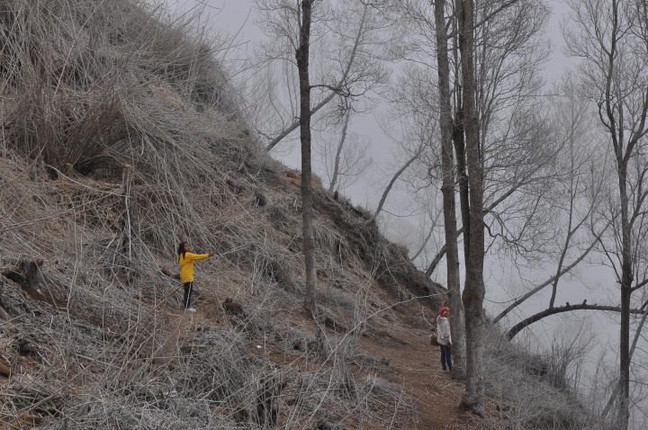 Wisatawan berfoto di lokasi wisata hutan Putih di dataran tinggi Dieng. Wisata hutan Putih di Desa Siglagah, Bawang, Batang, Jawa Tengah, ini tercipta akibat ledakan sumur panas bumi yang menyemburkan belerang satu tahun lalu sehingga menutup seluruh permukaan tanaman abu belerang. ANTARA FOTO/Anis Efizudin