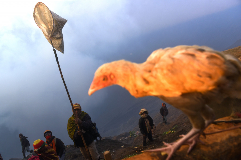 Puluhan orang bersiaga di dinding kawah menunggu sesaji yang dilempar ke dalam kawah. Mereka akan menangkap dan memnbawanya pulang untuk dimakan bersama keluarga. 