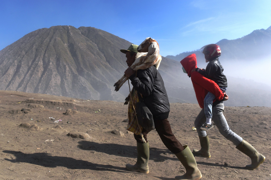 Warga menggendong seekor kambing yang akan jadikan hewan korban dengan cara melemparkannya ke kawah Bromo. Di sampingnya warga menggendong putranya naik ke puncak Bromo. 