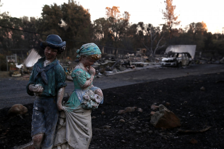 Sedikitnya empat ribu orang harus diungsikan dari kawasan pemukiman seluas enam ribu hektar yang terbakar. California dinyatakan dalam kondisi darurat. Justin Sullivan/Getty Images/AFP