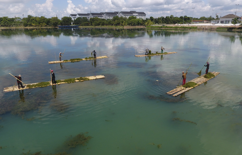 Pekerja membersihkan tanaman air di danau ski air Jakabaring Sport CIty (JSC), Palembang. Selain untuk Asian Games 2018, danau ini dibersihkan karena akan jadi arena Asian Triathlon Championship 2017 yang akan diselenggarakan 19-23 Juli 2017.