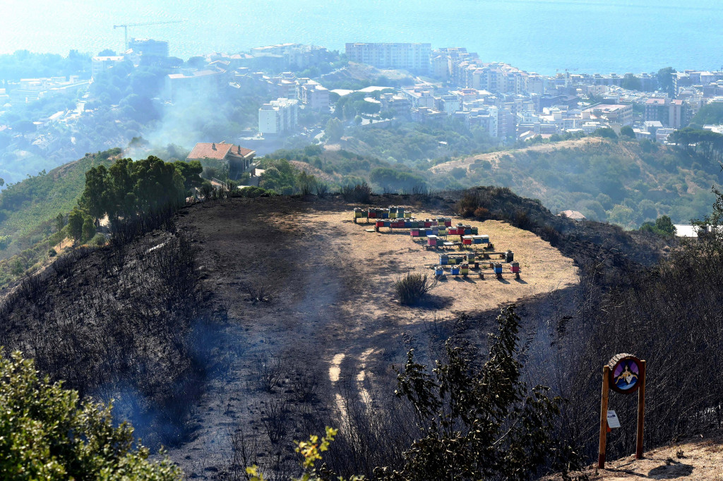 Sisa kebakaran lahan di puncak sebuah bukit di Sisilia. Kebarakan yang dipicu gelombang panas musim kemarau ini terjadi di banyak tempat di Italia.