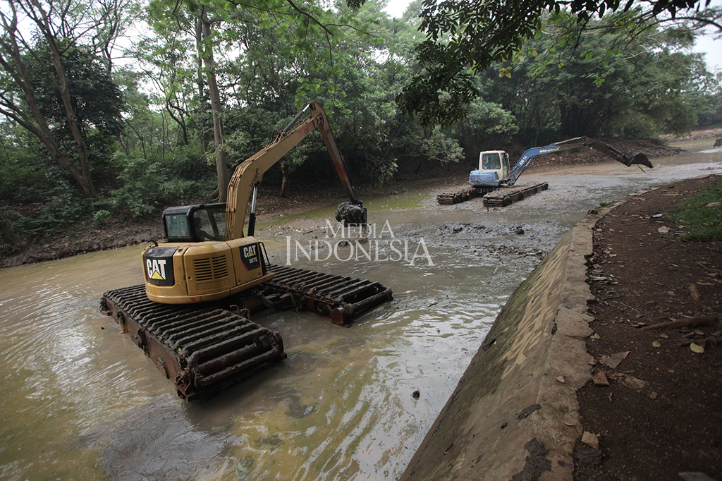 Pengerukan dilakukan karena waduk sudah mengalami pendangkalan, juga untuk mengatasi genangan di Kelurahan Kelapa Dua dan Srengseng.
